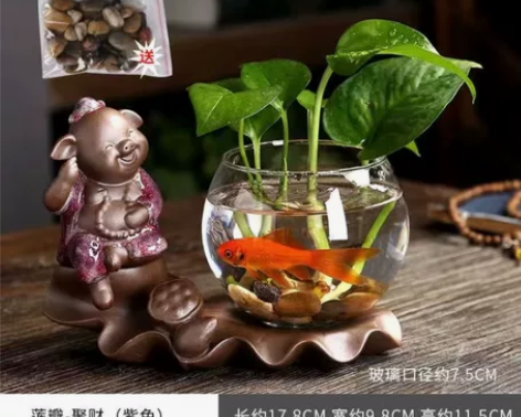 绿萝水培花盆玻璃器皿透明花瓶插花水养植物花...