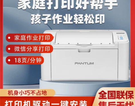 家用打印机 手机打印机奔图P2206NW黑...