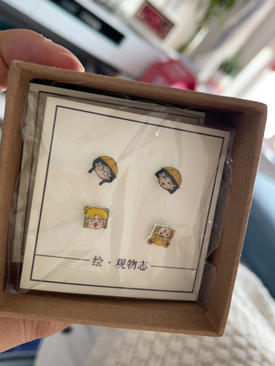 绘 观物志 耳钉