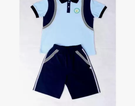东莞市南城阳光第六小学高品质精梳纯棉新款校服