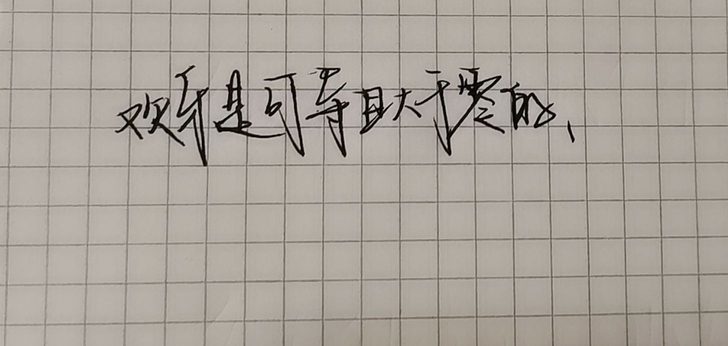 代写  不写太长的