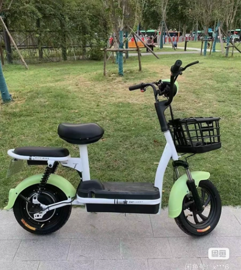 《价格真实》清仓处理飞鸽电瓶车铅电池电车小...