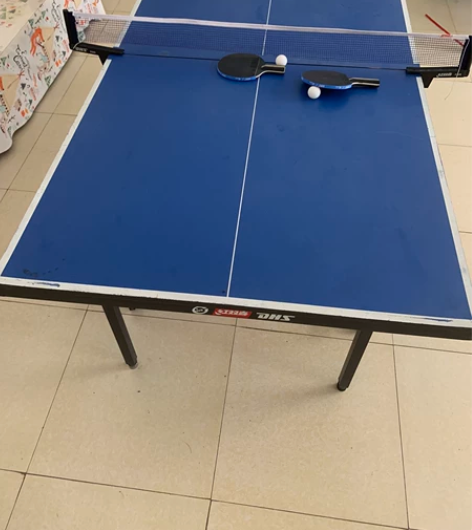 闲置红双喜818乒乓球桌家庭版。成色7.5...