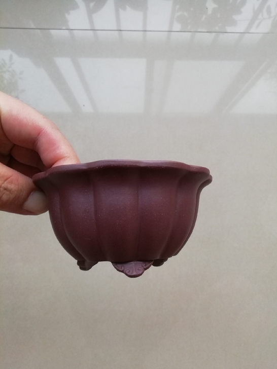 寅春王紫砂盆,张氏出口盆