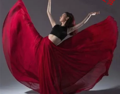 舞蹈练功半身裙子演出服女考级雪纺舞蹈纱裙