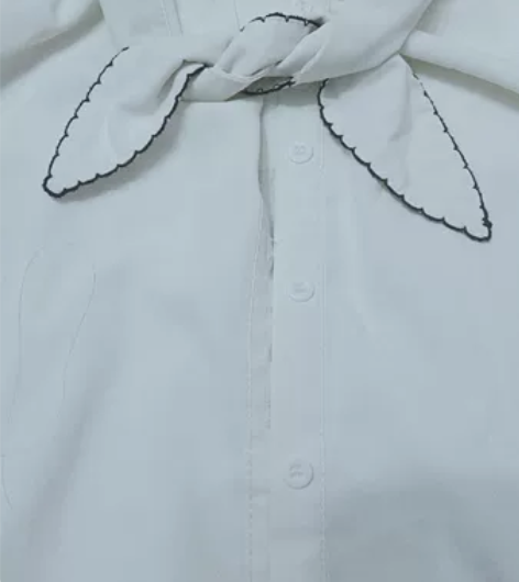 学院风白色百搭衬衫 衣服几乎全新,尺码L,...