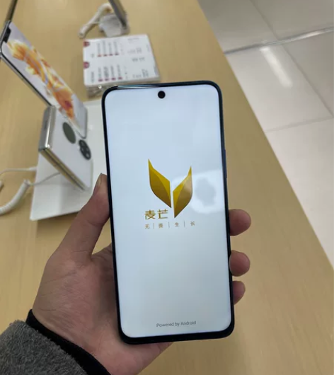 华为麦芒10 5G 8+128G 极光蓝 ...