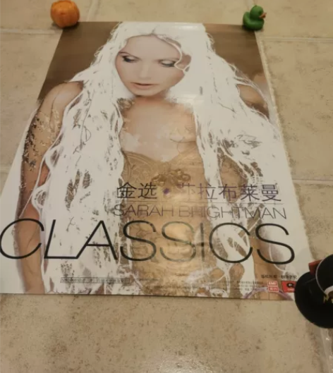 莎拉布莱曼海报 【金选】专辑 正版|中国唱...