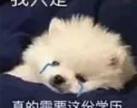 汉语言文学专业 现当代文学史/古代文学史/...