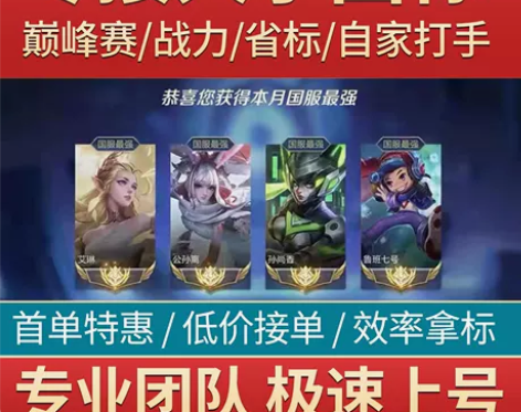 王者荣耀代练代打排位上分玩刷英雄战力巅峰赛...