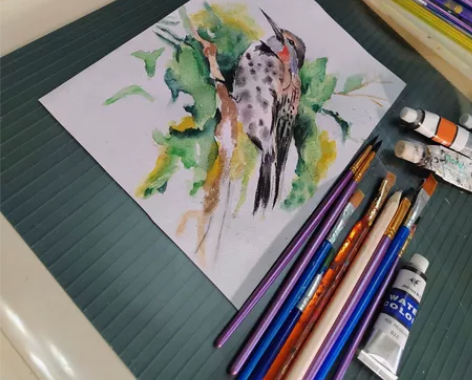 本人美术设计专业科班出身，水彩画，彩铅画等...