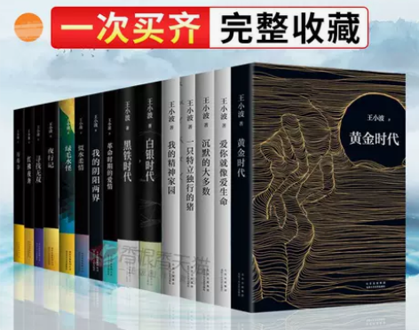王小波的书全套共15册黄金时代特立独行的猪...