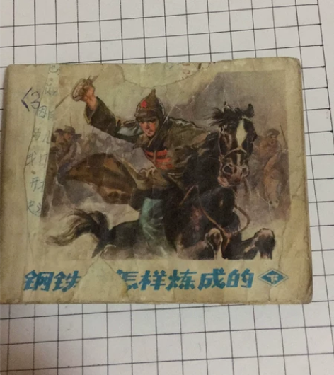 《钢铁是怎样炼成的》品弱便宜出，邮寄。 感...