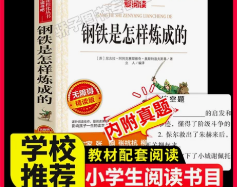 钢铁是怎样炼成的 正版钢铁怎样是的原著必中...