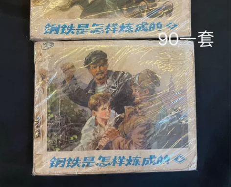 钢铁是怎样炼成的 一套出 价格如图 一套直...