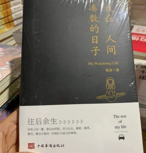 我在人间凑数的日子 段段著 需要的直接拍，...