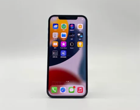 99新Apple/苹果 iPhone 12...