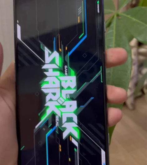 要高考了,老妈不让玩手机,便宜出了。黑鲨游...