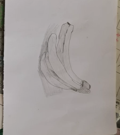 素描香蕉 19块九九包邮 不喜勿喷 偏远山...
