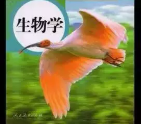 二手人教版7七年级上册生物书教材初中生物学...