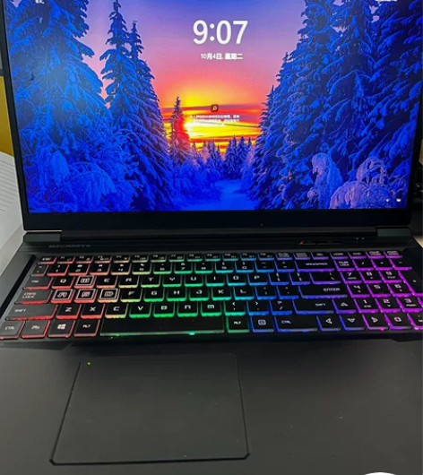 17.3屏幕 i7 1660Ti ...