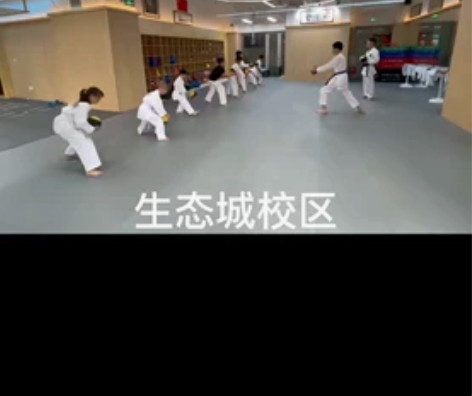 奥思武道 空手道 跆拳道 52节课时。 孩...