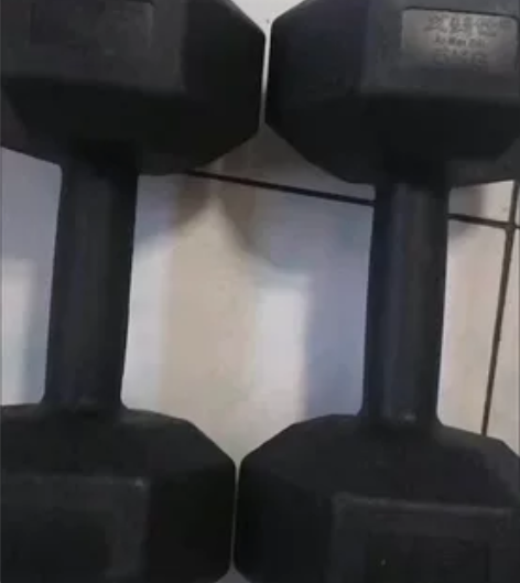 哑铃家用健身器材一对 可做俯卧撑 一对总共...