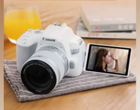 佳能200d二代照相机蚂蚁摄影数码高清旅游...