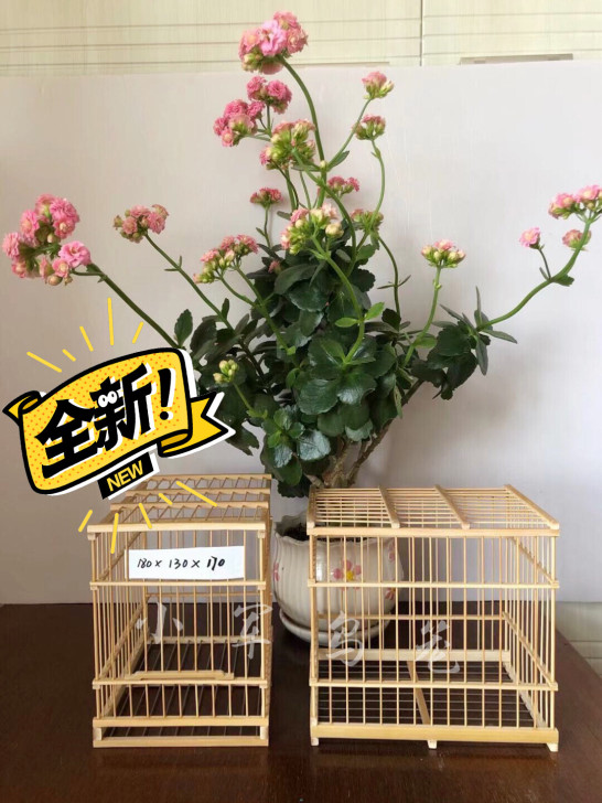 全新黄鸟 柳莺 贝子 三道鸟笼