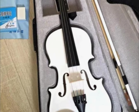 原价2600琴行入手的手工小提琴4/4，闺...
