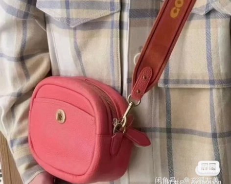 全新蔻驰相机包，斜挎包，两根肩带，颜色不适...