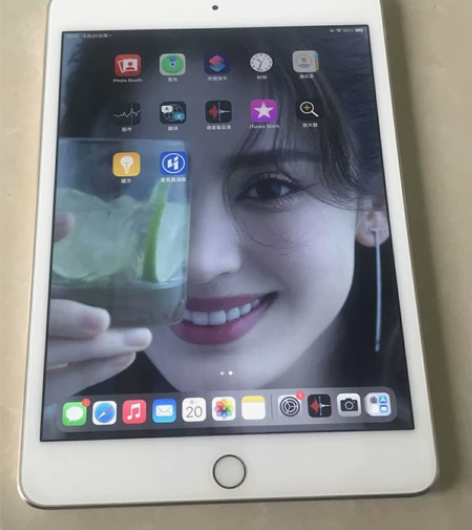 iPad mini4 128g 个人使用，...
