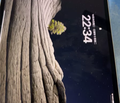 ipad pro 2021 256 国行 ...