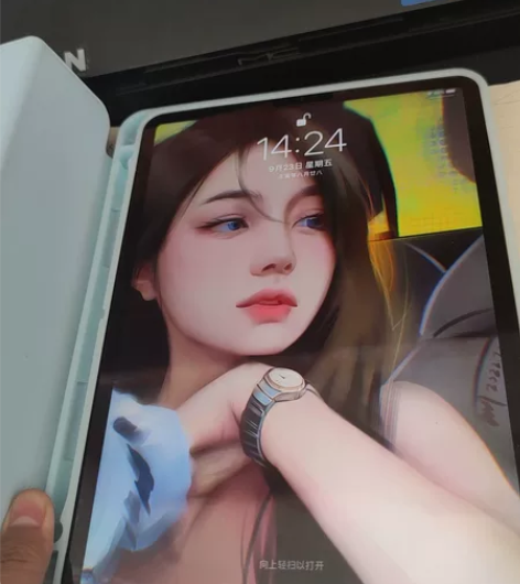 Apple/苹果 iPad Pro 11英...