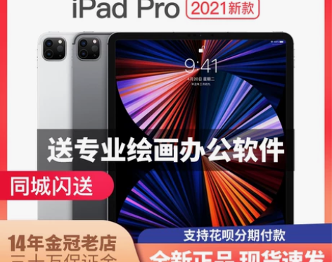 2021新款Apple/苹果 iPad P...