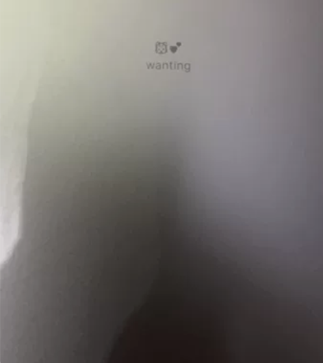 苹果ipad pro 最新款12.9英寸。...