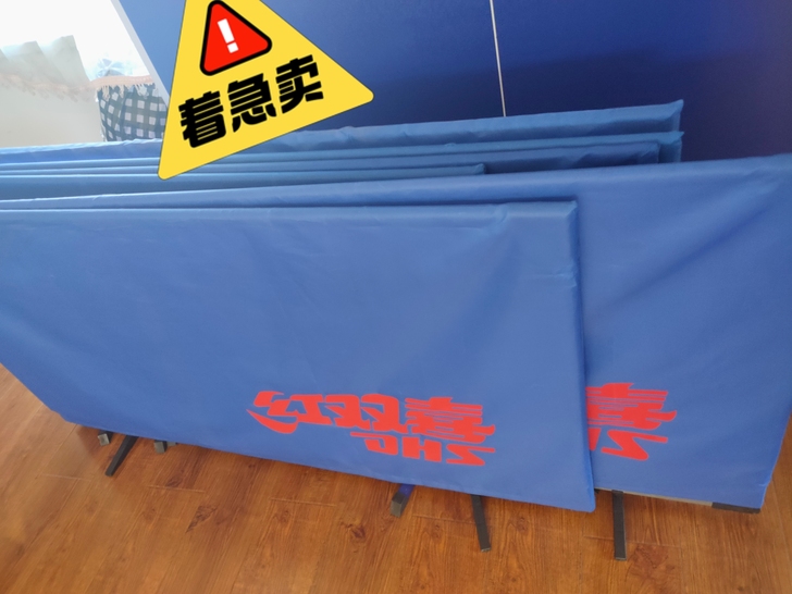 红双喜乒乓球案，有网，小网大网都有，还有球...