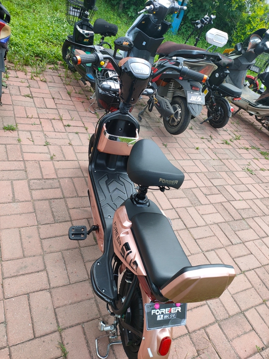 永久品牌电动车48V65公里的女士一手车，...