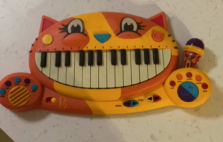 猫琴，功能完好，表面有些氧化，50元.