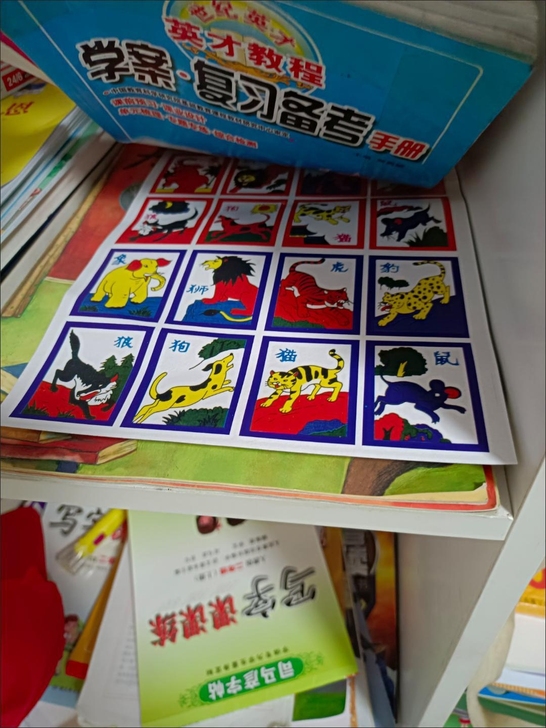 斗兽棋，6张，来，江苏第一棋圣前来赐教！