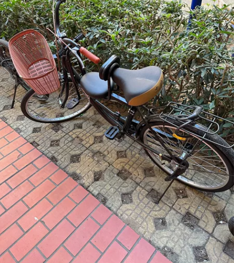 上海凤凰车件有限公司女士自行车轻便大人学生...