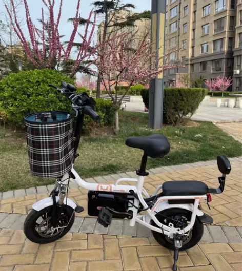 飞鸽电动车，飞鸽折叠电动车自行车。基本全新...