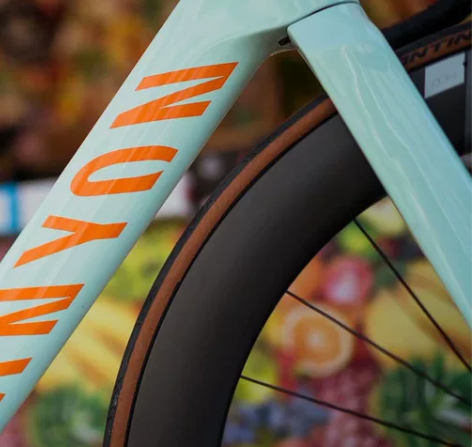 sava碳纤维自行车山地车最新款,非捷安特...