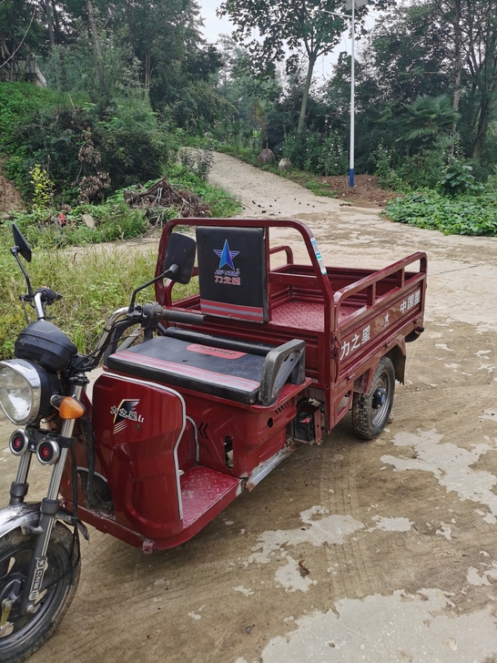 九成新力之星三轮车，看上滴滴，