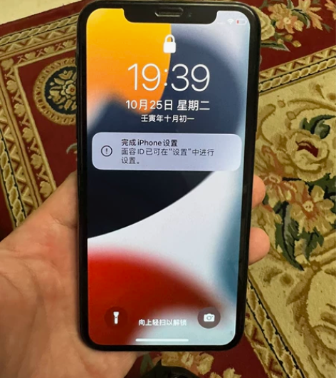 自用国行iPhone x 256G,成色9...