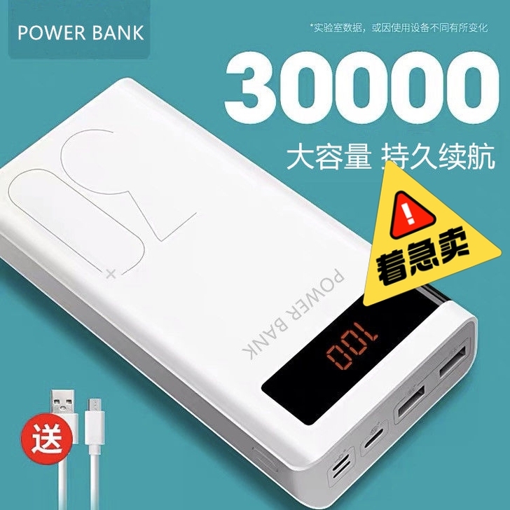 (POWER BANK)快充大容量500...