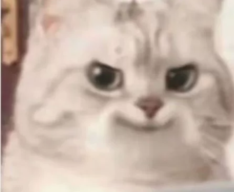 小米12 感兴趣的话点“我想要”和我私聊吧...