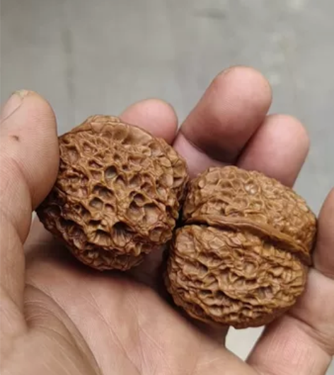 云南铁核桃43的边，手感重，纹路飘亮，初步...