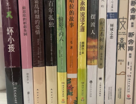 百年孤独 云边有个小卖部 皮囊 你当像鸟飞...