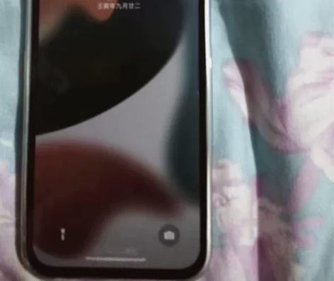 苹果12换过国产屏幕和后摄像头！128GB...